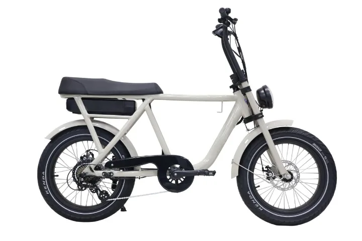 Green EB224S moped electric bike
